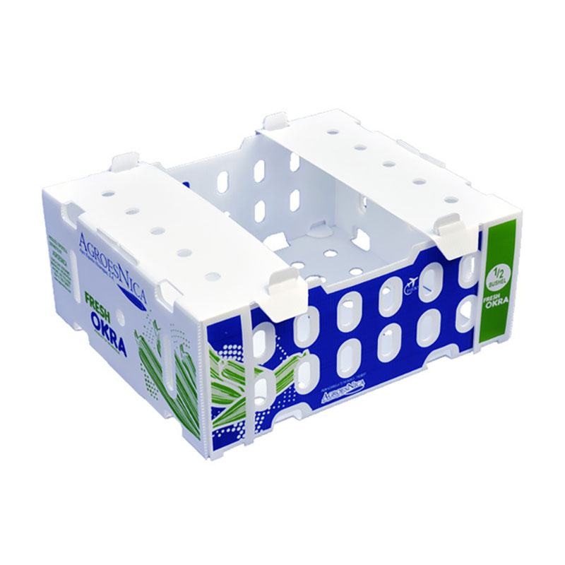PP Hollow Board Vegetable Boxes